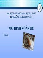 Mô hình xoắn ốc