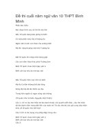 Đề thi cuối năm ngữ văn 10 THPT bình minh 