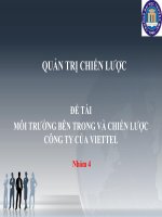 Môi trường bên trong và chiến lược cấp công ty của viettel