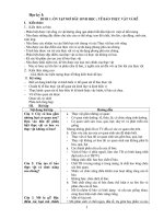 Giáo án dạy thêm môn sinh học lớp 6 