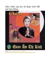 Cảm nhân của em về đoạn trích nỗi oan hại chồng 