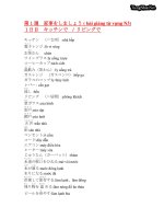 Soumatome N3 Goi  Bản tiếng Việt