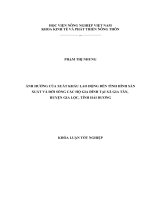 ảnh hưởng của xuất khẩu lao động tới tình hình sản xuất và đời sống của các hộ gia đình tại xã Gia Tân, huyện Gia Lộc, tỉnh Hải Dương