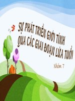 Sự phát triển giới tính qua các giai đoạn lứa tuổi
