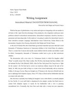 An analysis on cultural elements (Film daughter from danang)