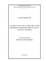 Tác động của di cư mùa vụ nông thôn - đô thị đến đời sống gia đình nông thôn xã Cẩm Văn - Cẩm Giàng - Hải Dương