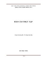 Báo cáo thực tập hệ thống SVM