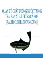Thuyết trình quản lý chất lượng nước trong trại sản xuất giống cá bóp
