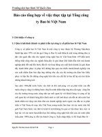 Báo cáo tổng hợp về việc thực tập tại tổng công ty bao bì việt nam