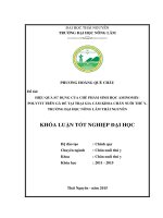 Hiệu quả sử dụng của chế phẩm sinh học Aminomixpolyvit trên gà đẻ tại trại gia cầm khoa Chăn nuôi thú y, trường Đại học Nông Lâm Thái Nguyên