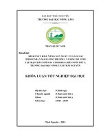 Khảo sát khả năng sản xuất của gà lai (Trống Mía x Mái Lương Phượng) và KING 303 nuôi tại trại chăn nuôi gia cầm khoa Chăn nuôi Thú y, trường Đại học Nông lâm Thái Nguyên