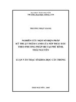 Nghiên cứu một số biện pháp kỹ thuật thâm canh lúa nếp Thầu dầu theo phương pháp SRI tại Phú Bình, Thái Nguyên