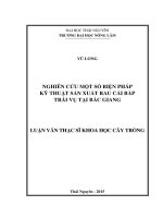 Nghiên cứu một số biện pháp kỹ thuật sản xuất rau cải bắp trái vụ tại Bắc Giang