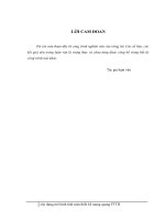 Xây dựng mô hình tính toán thiết kế mạng quang FTTH