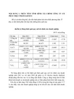 PHÂN TÍCH TÌNH HÌNH TÀI CHÍNH CÔNG TY CỔ PHẦN THỰC PHẨM SAFOCO