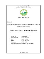 Sử dụng enzym tiêu hóa trong chăn nuôi lợn rừng lai giai đoạn sau cai sữa