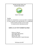 Nghiên cứu ảnh hưởng của hai loại thức ăn Deheus và Vilico tới khả năng sinh trưởng của gà broiler tại xóm Lam Sơn, xã Tân Cương, TP Thái Nguyên, tỉnh Thái Nguyên