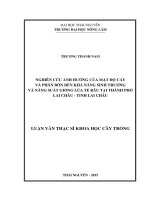 Nghiên cứu ảnh hưởng của mật độ cấy và các tổ hợp phân bón đến sinh trưởng và năng suất của giống lúa Tẻ Râu vụ Mùa 2014 và vụ Xuân 2015 tại thành phố Lai Châu, tỉnh Lai Châu