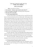 Sáng kiến kinh nghiệm THCS giúp học sinh yếu kém học được đại số 9 