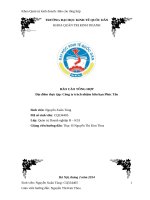 Báo cáo tổng hợp tại công ty trách nhiệm hữu hạng phúc tấn