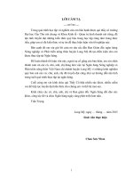 luận văn tốt nghiệp về tín dung cá nhân chau son nhon