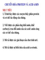 Bài giảng chuyển hóa protein và acid amin 