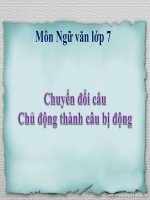 Bài giảng ngữ văn 7 bài 23 chuyển đổi câu chủ động sang câu bị động 4 