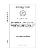 Luận văn thạc sĩ Hoàn thiện hệ thống kiểm soát rủi ro tại các doanh nghiệp kinh doanh dịch vụ truyền hình cáp trên địa bàn tỉnh đồng nai