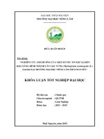 Nghiên cứu ảnh hưởng của một số yếu tố nội tại đến khả năng hình thành cây hom Lộc vừng (Barringtoria acutangula (L.) Gaertn ) tại Trường Đại học Nông Lâm Thái Nguyên