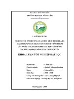 Nghiên cứu ảnh hưởng của chất kích thích ra rễ IBA (Axit Indolbutilic) đến sự hình thành hom cây Ngâu (Aglaia duperreana) tại vườn ươm trường Đại học Nông Lâm Thái Nguyên