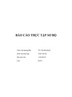 BÁO CÁO THỰC TẬP SƠ BỘ ĐẠI HỌC THƯƠNG MẠI