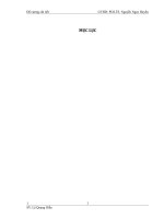 NÂNG CAO HIỆU QUẢ sử DỤNG LAO ĐỘNG tại CÔNG TY TNHH DACO