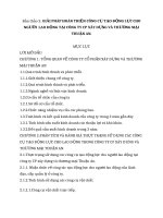 GIẢI PHÁP HOÀN THIỆN CÔNG cụ tạo ĐỘNG lực CHO NGƯỜI LAO ĐỘNG tại CÔNG TY CP xây DỰNG và THƯƠNG mại THUẬN AN