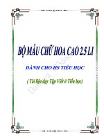 Bộ chữ hoa mẫu cao 2,5 li dành cho học sinh Tiểu học (tài liệu dạy tập viết CNGD)