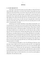 Một số giải pháp nhằm hoàn thiện hoạt động marketing của Công ty TNHH MTV Kinh doanh Nông sản Tín Nghĩa