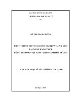 Phát triển cho vay doanh nghiệp vừa và nhỏ tại ngân hàng TMCP công thương việt nam  chi nhánh hải dương 