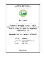 Nghiên cứu khả năng tích lũy Cacbon Rừng trồng keo tai tượng Công ty lâm nghiệp Ngòi Lao, huyện Văn Chấn, tỉnh Yên Bái