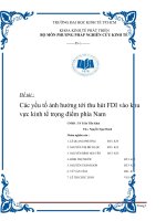 Các yếu tố ảnh hưởng tới thu hút FDI vào khu vực kinh tế trọng điểm phía Nam