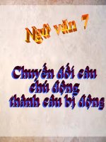 Bài giảng ngữ văn 7 bài 23 chuyển đổi câu chủ động sang câu bị động 8 