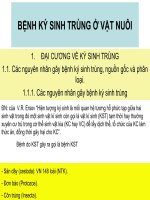 Bệnh Ký Sinh Trùng Ở Vật Nuôi