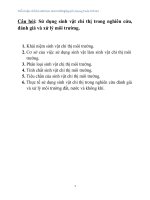 Tiểu luận chỉ thị sinh học môi trường