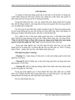 Tiểu luận triết một số vấn đề lý luận và thực tiễn trong xây dựng, hoàn thiện nhà nước pháp quyền XHCN tại việt nam 