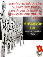 Định hướng phát triển các nghành và lĩnh vực kinh tế trong quá trình đẩy mạnh công nghiệp hóa hiện đại hóa gắn với phát triển kinh tế tri thức