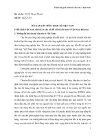 Bài tập lớn môn kinh tế việt nam trình bày quá trình tái cấu trúc ở việt nam