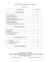 Sáng kiến kinh nghiệm hoạt động ngoài trời 3  4 tuổi