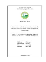 Xác định sinh khối rễ nhỏ tại rừng trồng Mỡ (Manglietia conifera ) tại xã Chu Hương, huyện Ba Bể, tỉnh Bắc Kạn