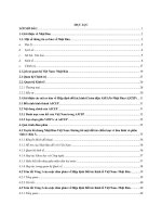 Tiểu luận Hiệp định đối tác kinh tế việt nam  Nhật bản (VJEPA)