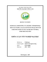Đánh giá ảnh hưởng của độ dốc tới bệnh hại keo tai tượng (acacia mangium willd) do nấm ceratocystis gây ra tại huyện Võ Nhai tỉnh Thái Nguyên