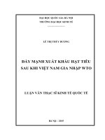 Đẩy mạnh xuất khẩu hạt tiêu sau khi việt nam gia nhập WTO 