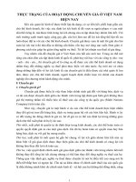 THỰC TRẠNG của HOẠT ĐỘNG CHUYỂN GIÁ ở VIỆT NAM HIỆN NAY